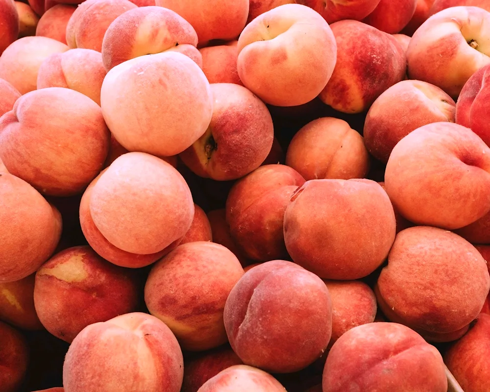 Peach nectarine apricot