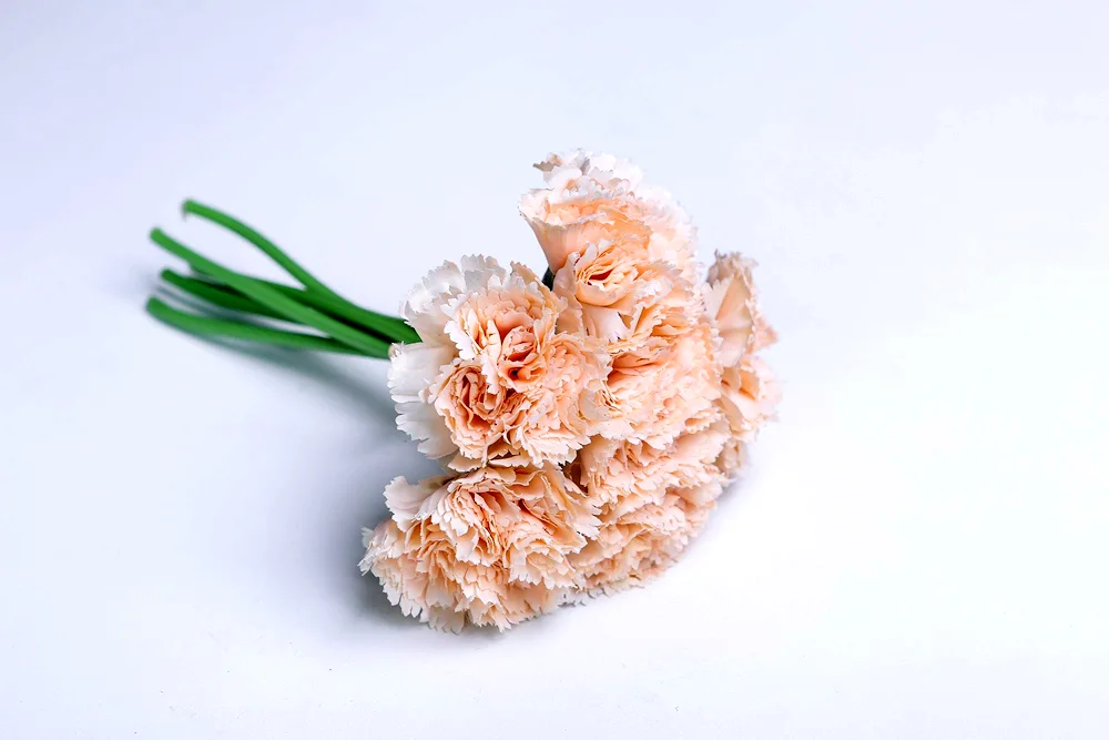 Dianthus and Gypsophila