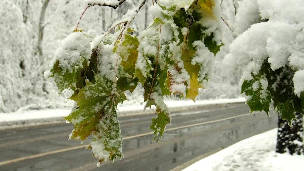 First snow