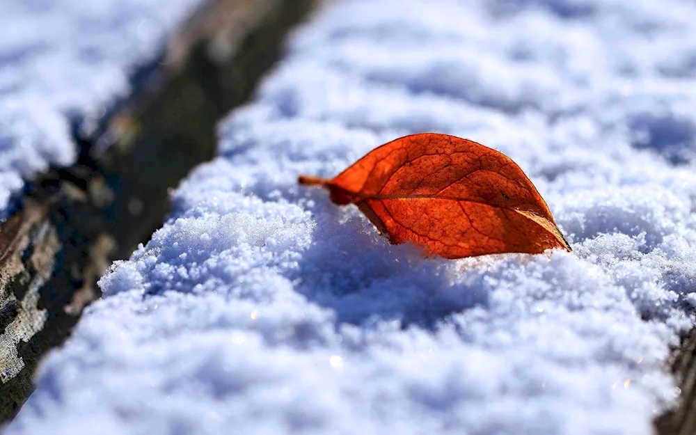 First snow