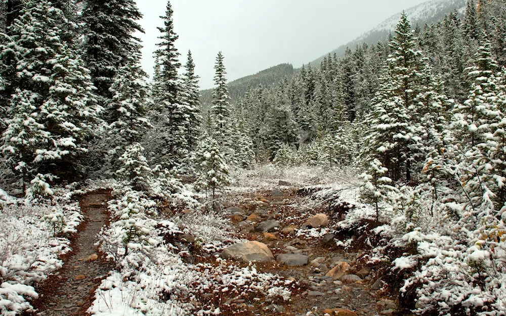 First snow winter