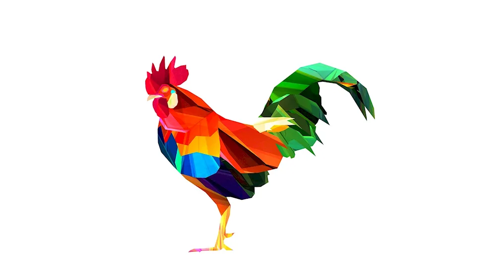 Cockerel