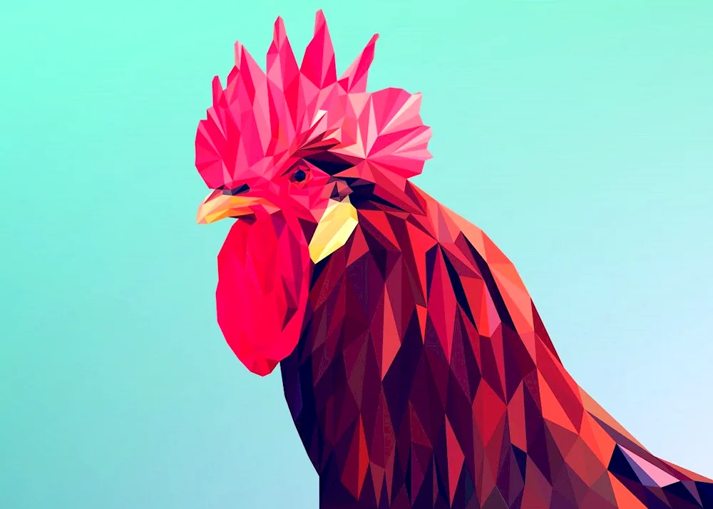 Cockerel