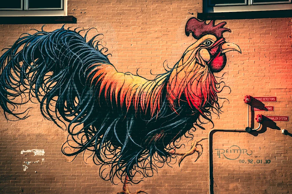 2017 Cockerel