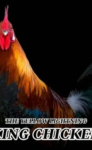 Cockerel
