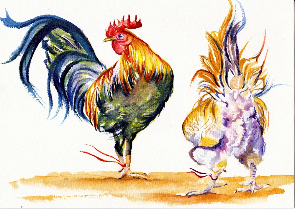 Cockerel stylised