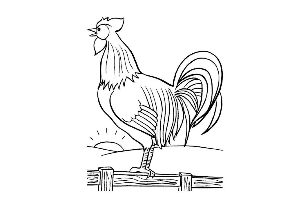 Cockerel outline