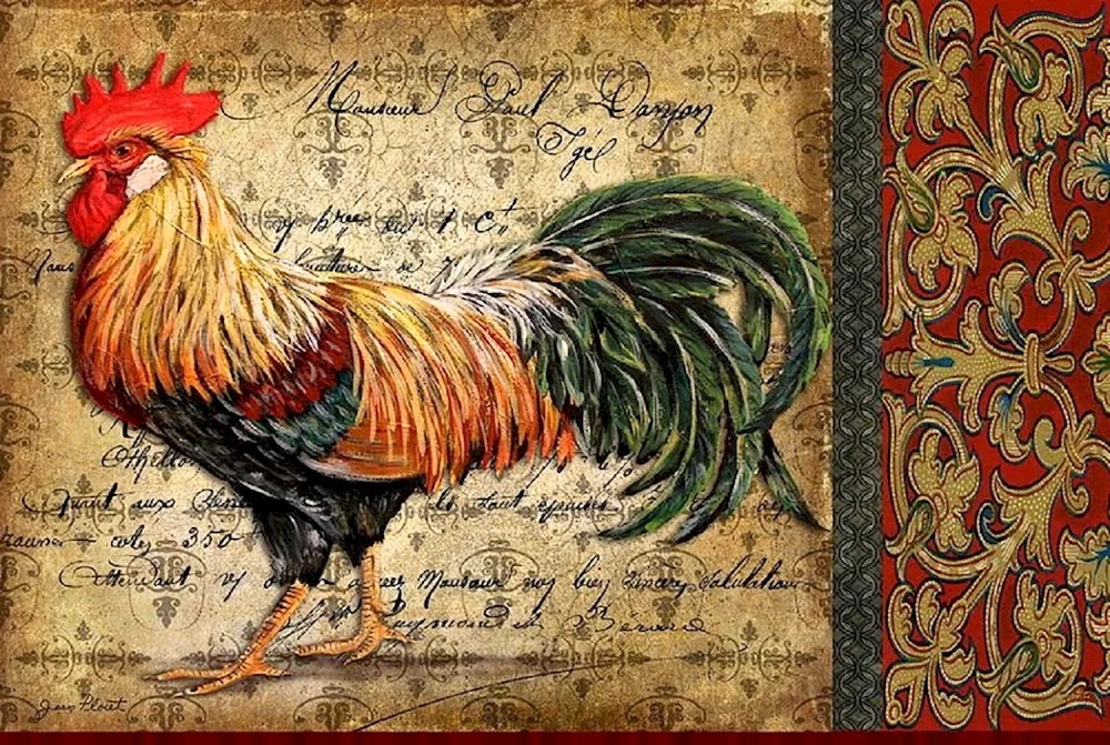 Cock for decoupage