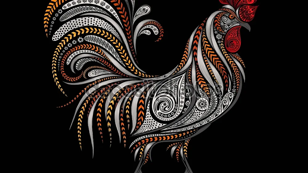 Cockerel