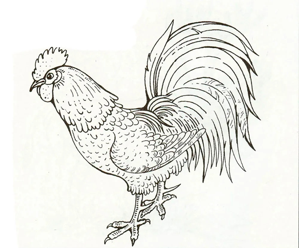 Cockerel stylized