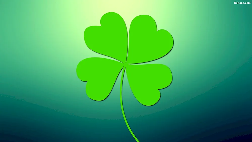 Flat-leaf clover