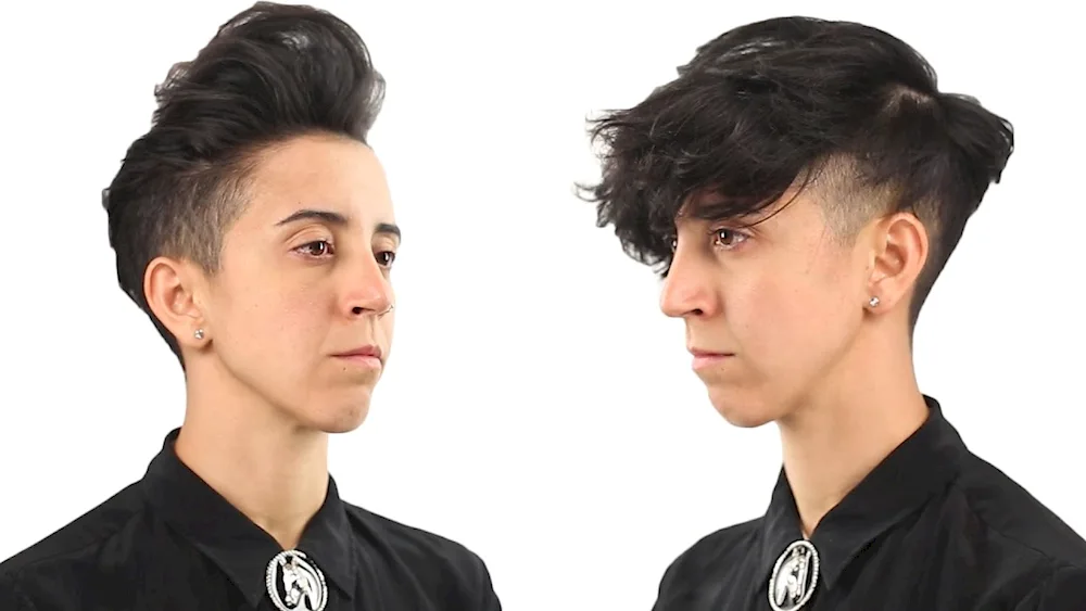Faggot hairstyle. hairstyle