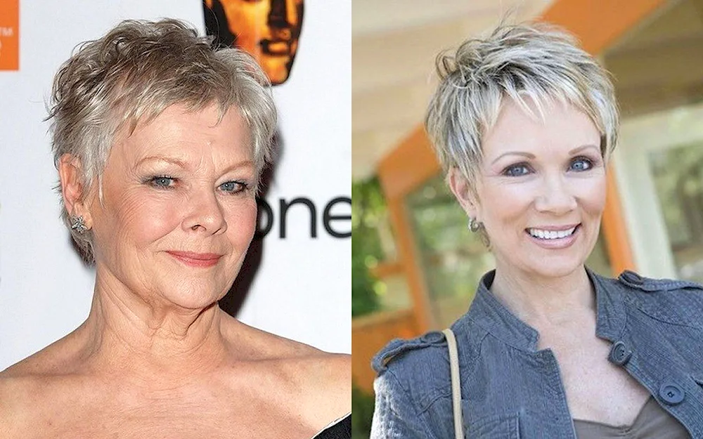 Pixie 50 Plus