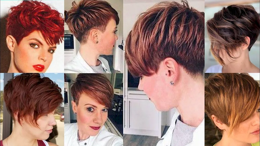 Blond colouring for short haircut