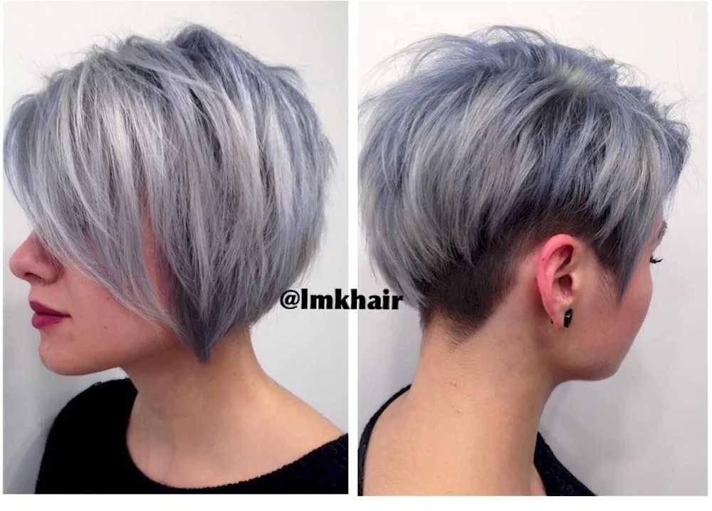 Pixie bob