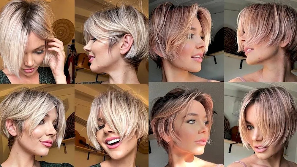 Garson Pixie bob haircut asymmetry