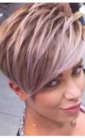 Pixie Bob ash blond