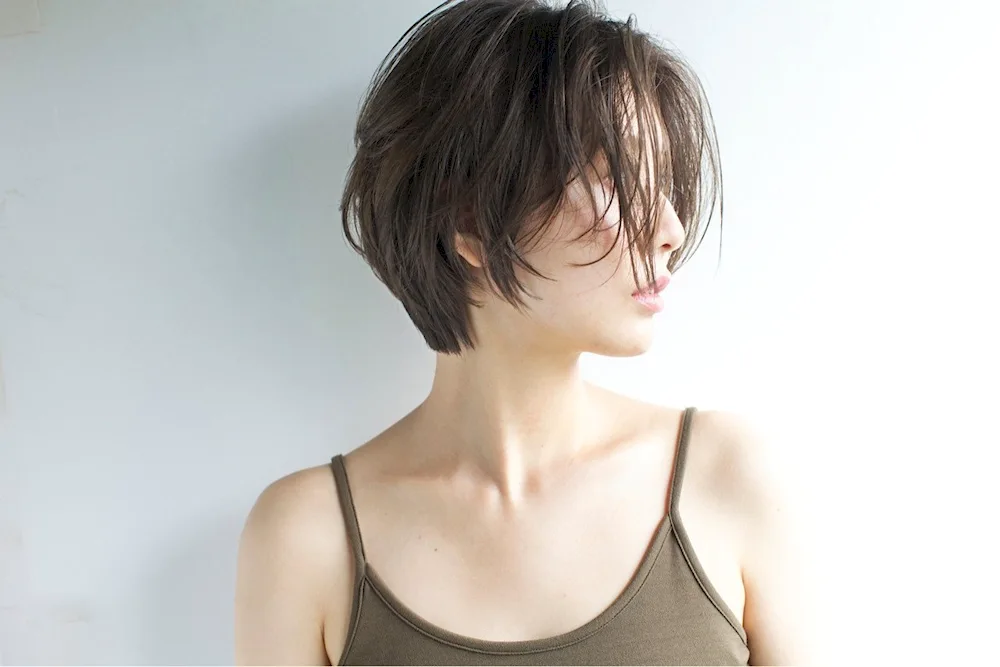 Pixie Bob haircut Korean