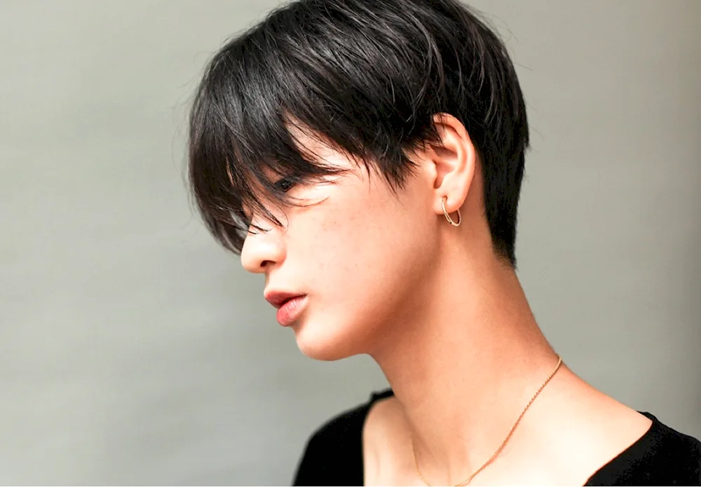 Pixie Bob haircut Korean