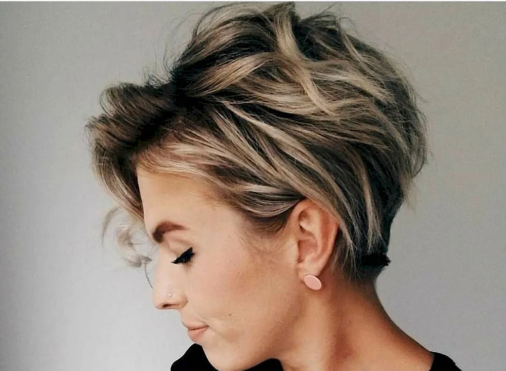 Pixie bob long