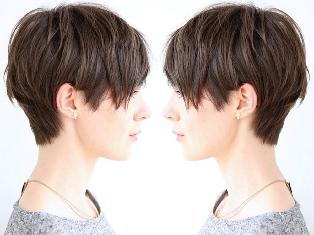 Bob Brown Pixie haircut