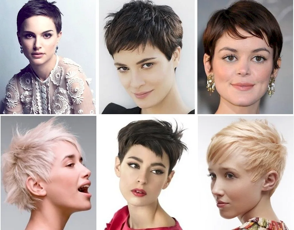 Garson Pixie haircut asymmetry