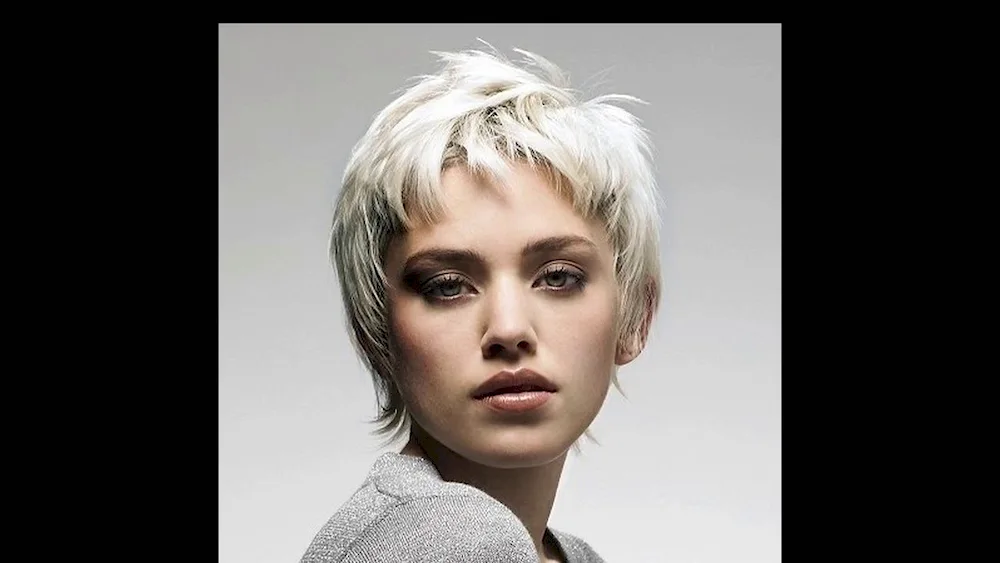 Pixie Gavroche haircut