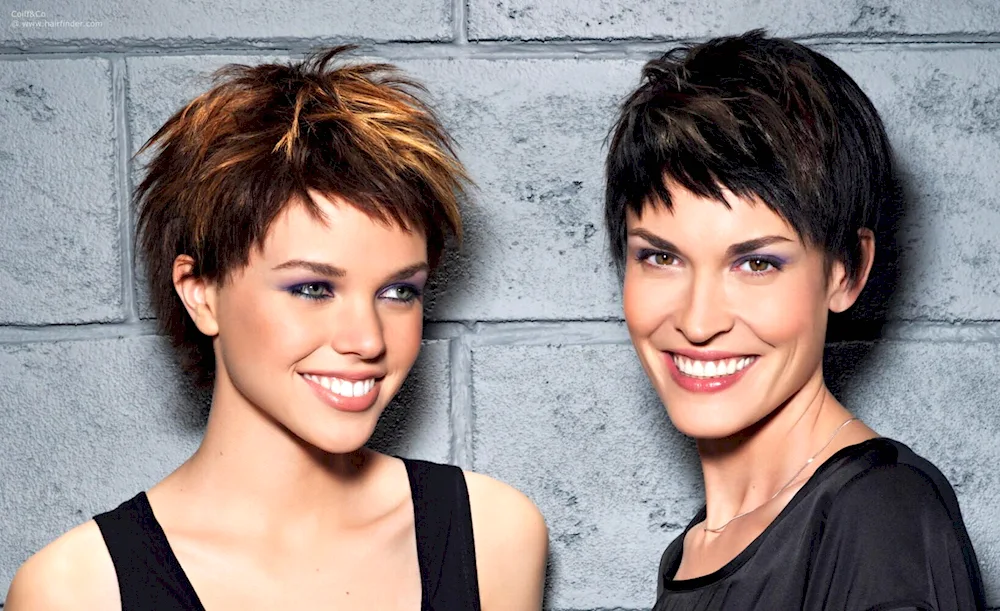 Pixie Gavroche Garson haircut