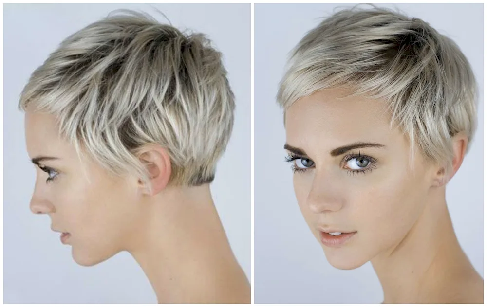 Garson Bob Pixie short haircut