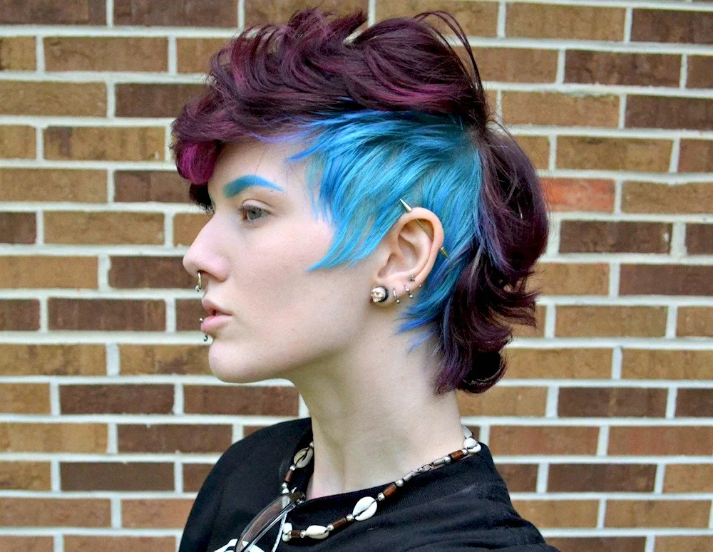 Punk hairstyle