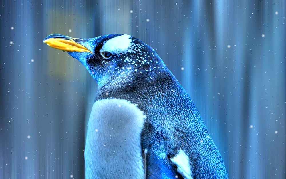 Penguin