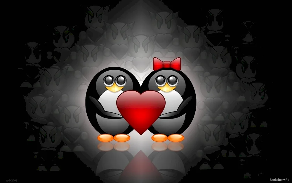 Penguin with heart