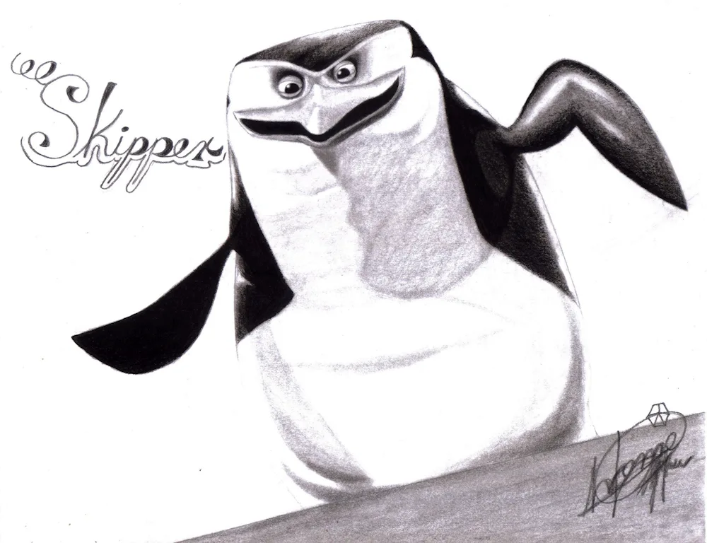 Step by step penguin drawing