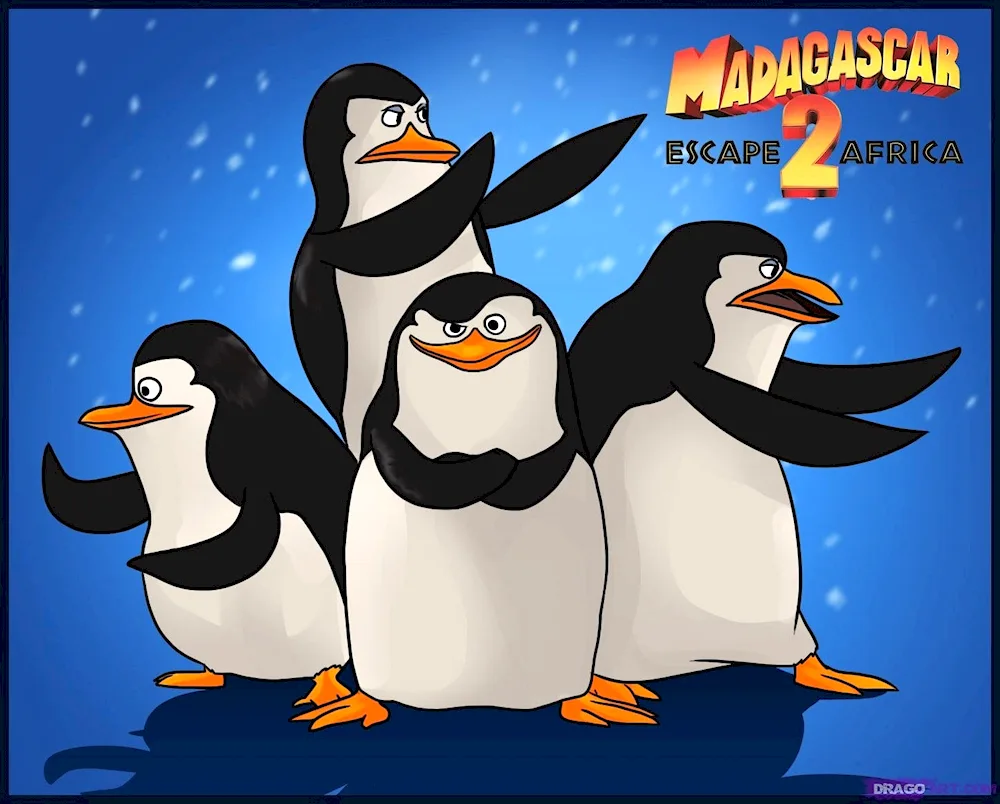 Drawing a penguin in the senior group group