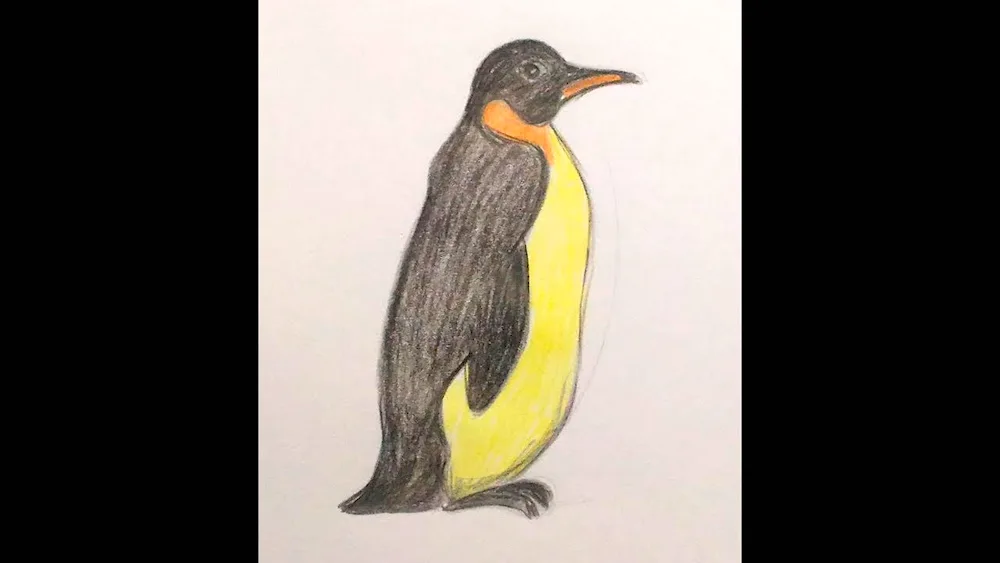 Penguin pencil drawing