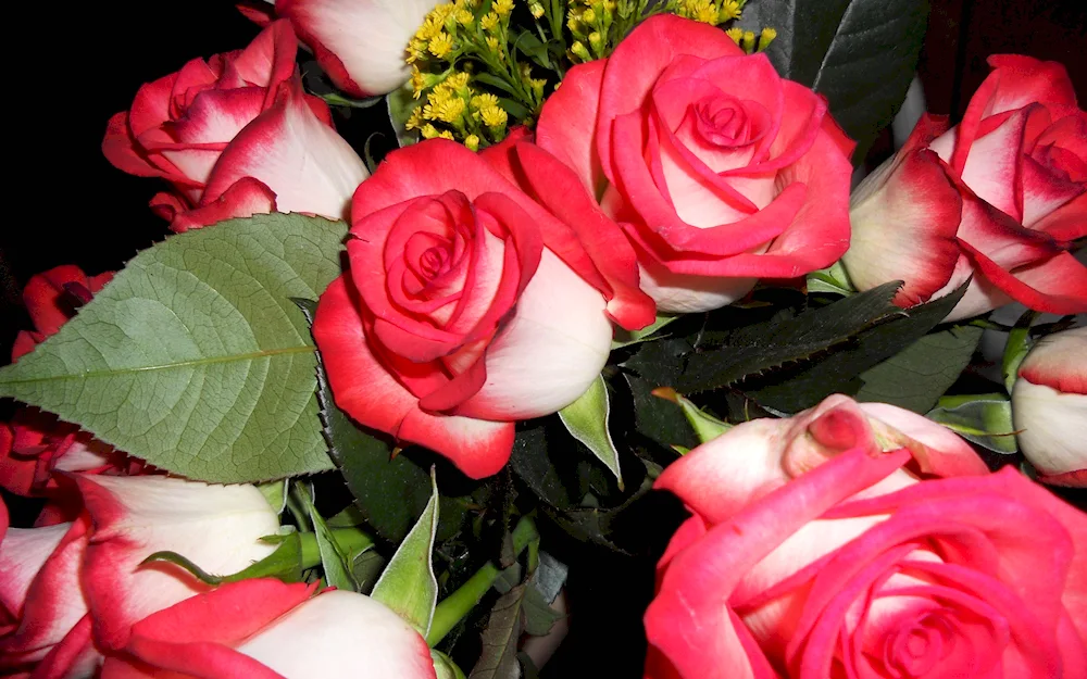 Beautiful bouquet of flowers at home