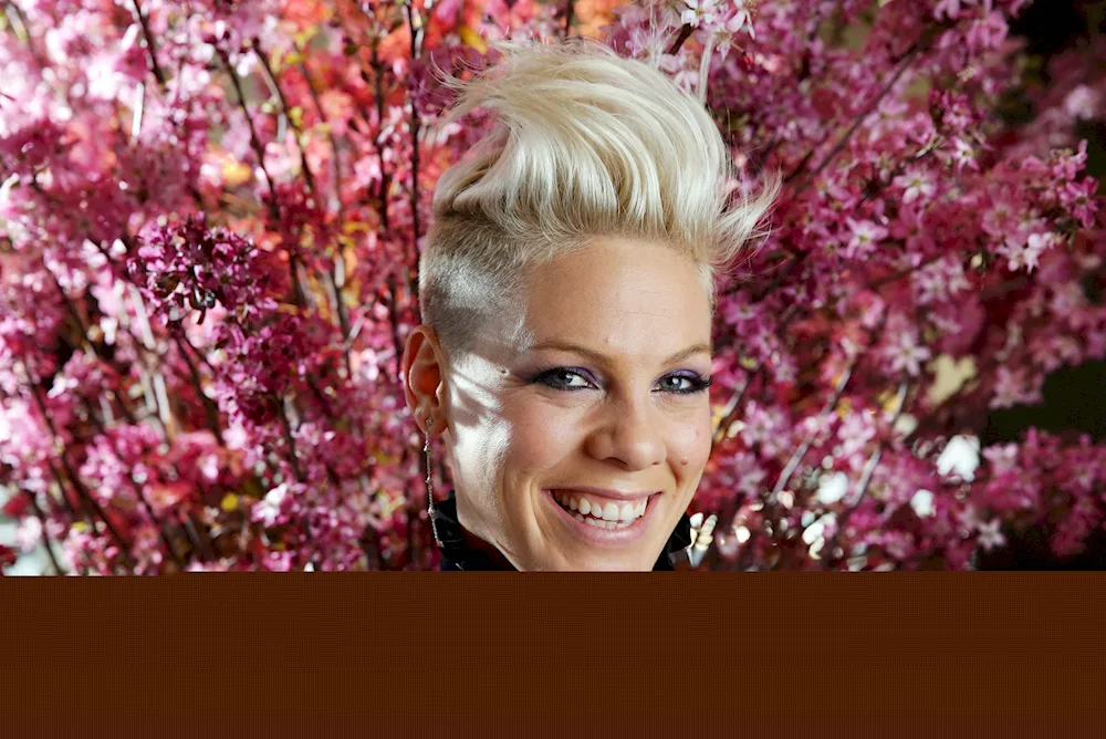 Pink singer