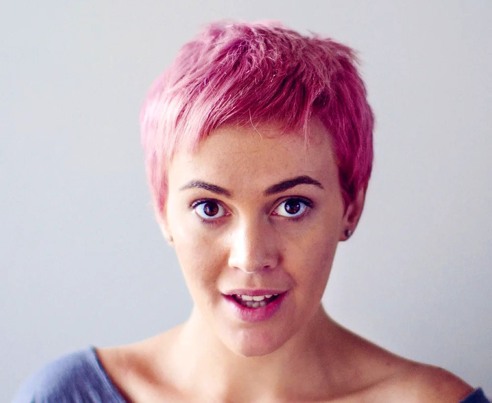 Pixie bob colouring 2022