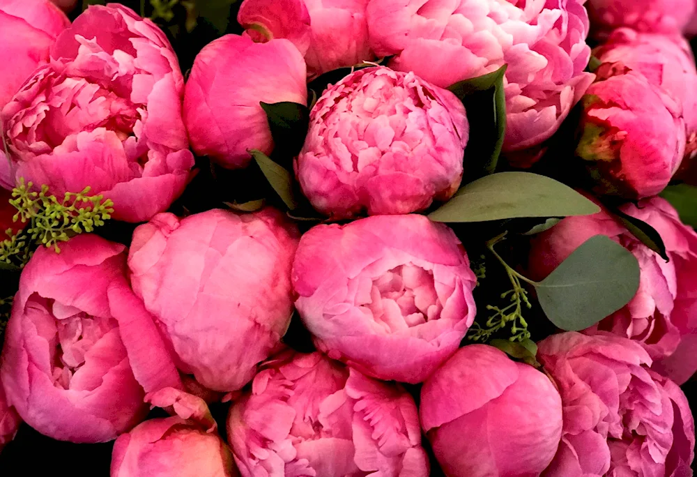 Bouquet with peonies