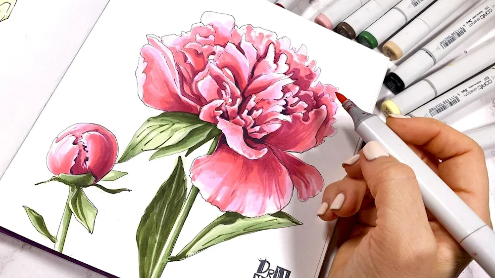 Flowers drawing