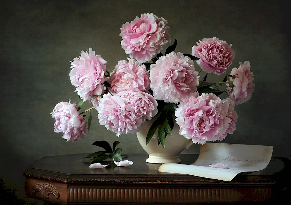 Pink-like peonies