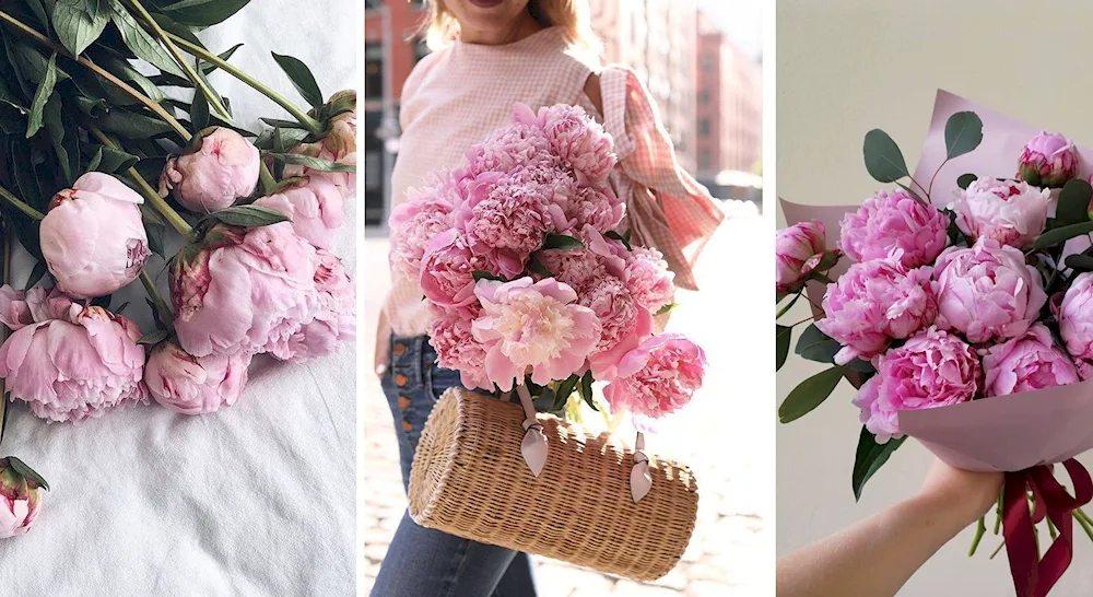 Peonies in hands