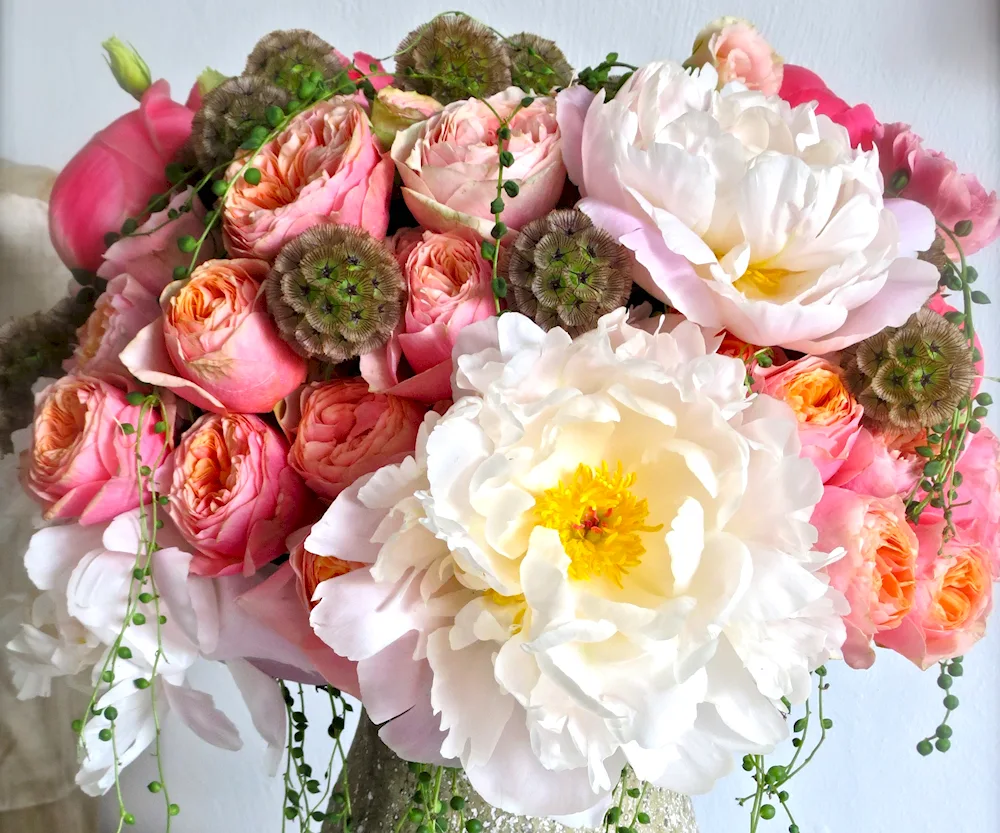 Bouquet of peonies