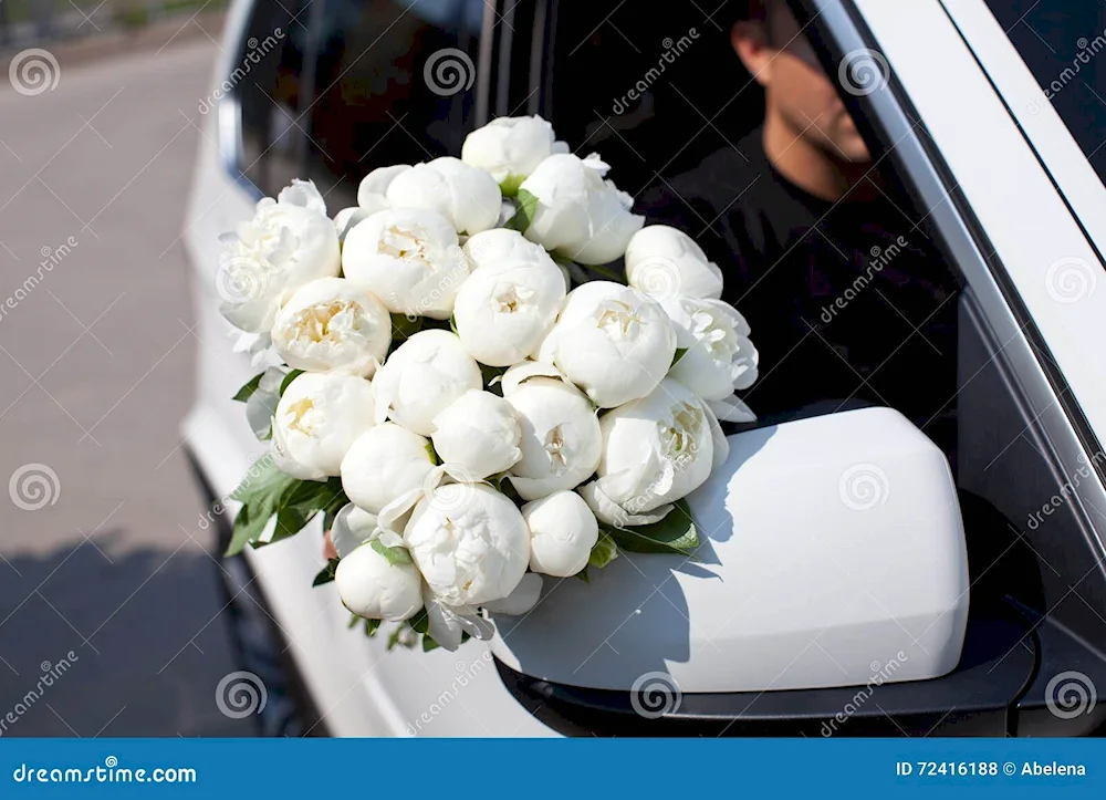 Peonies bouquet in the car