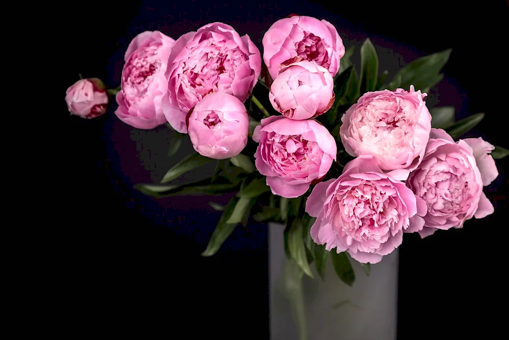 Woman with peonies