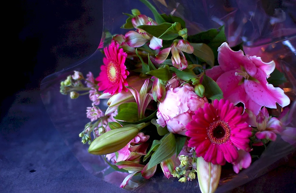 Peonies and gerberas