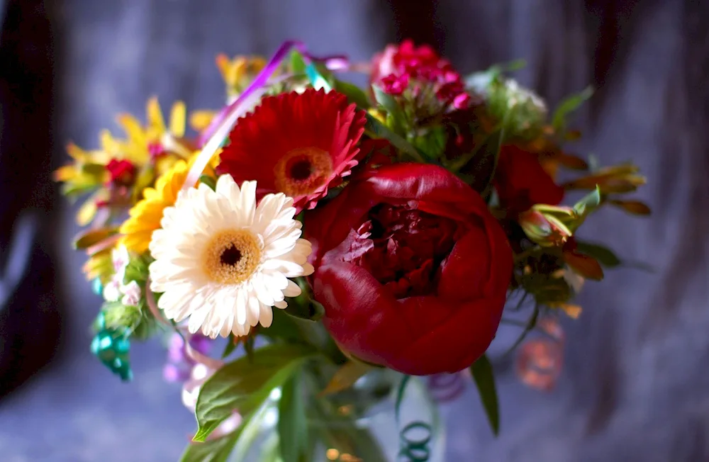 Peonies and gerberas