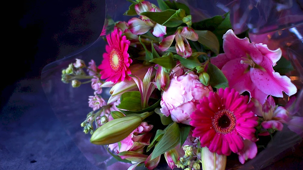 Peonies and gerberas