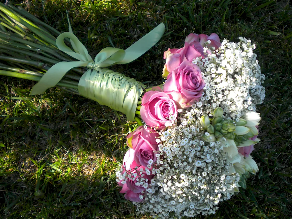 Gypsophila panicle rose