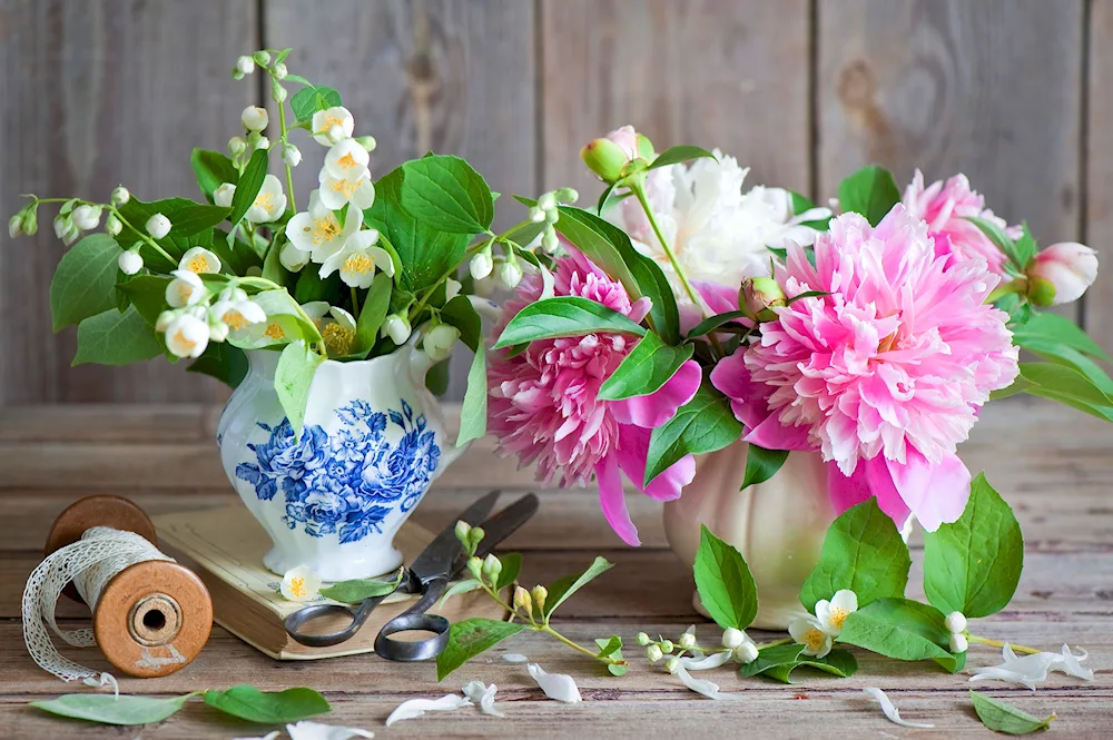 Peonies by Zbigniew Kopania